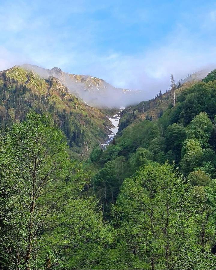 Ayder Paradise Otel Dış mekan fotoğraf