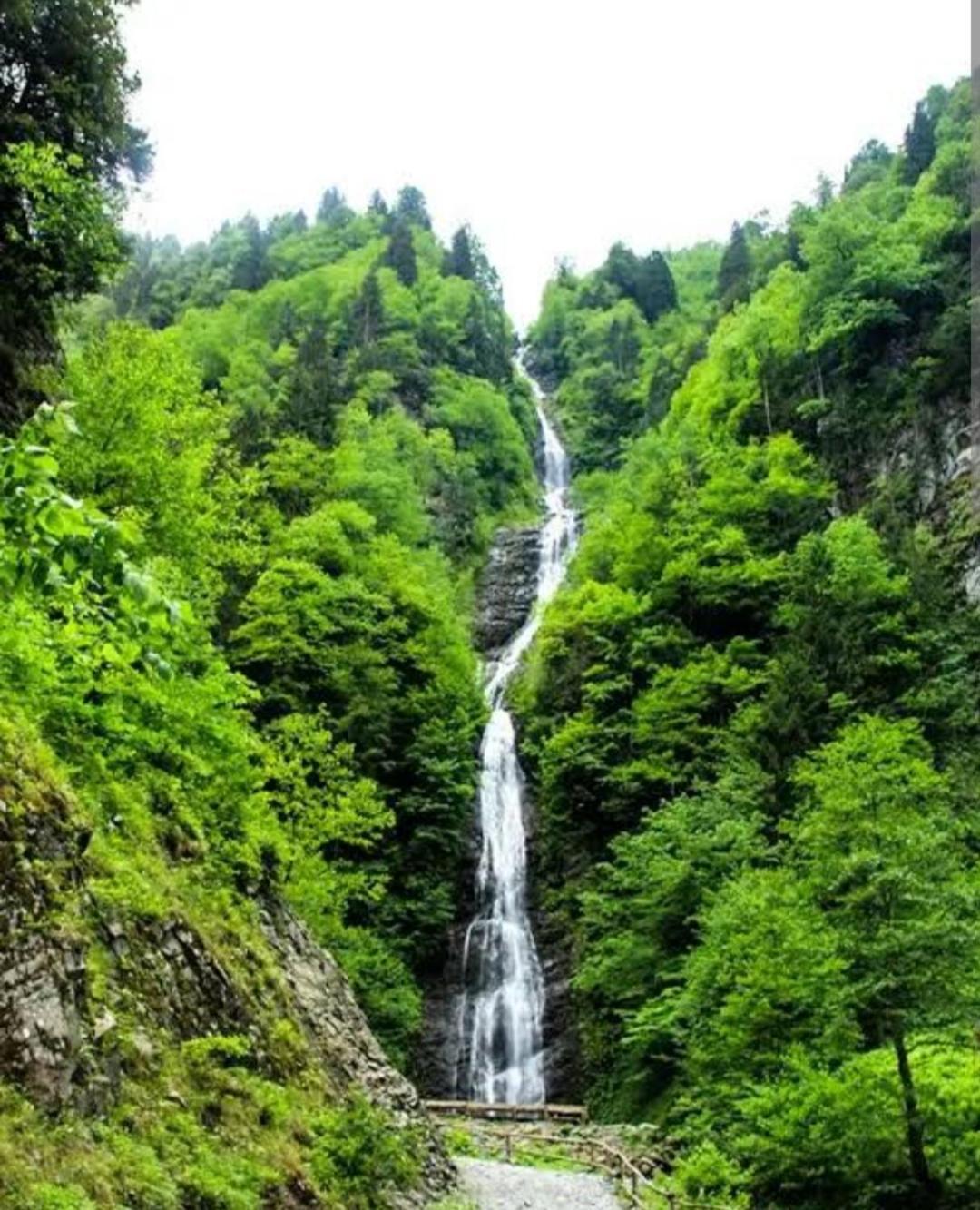 Ayder Paradise Otel Dış mekan fotoğraf